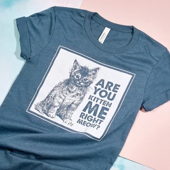 Cat Lady Small Blue Cat Shirt “Are You Kitten Me Right Meow” NEVER WORN - Picture 2 of 6